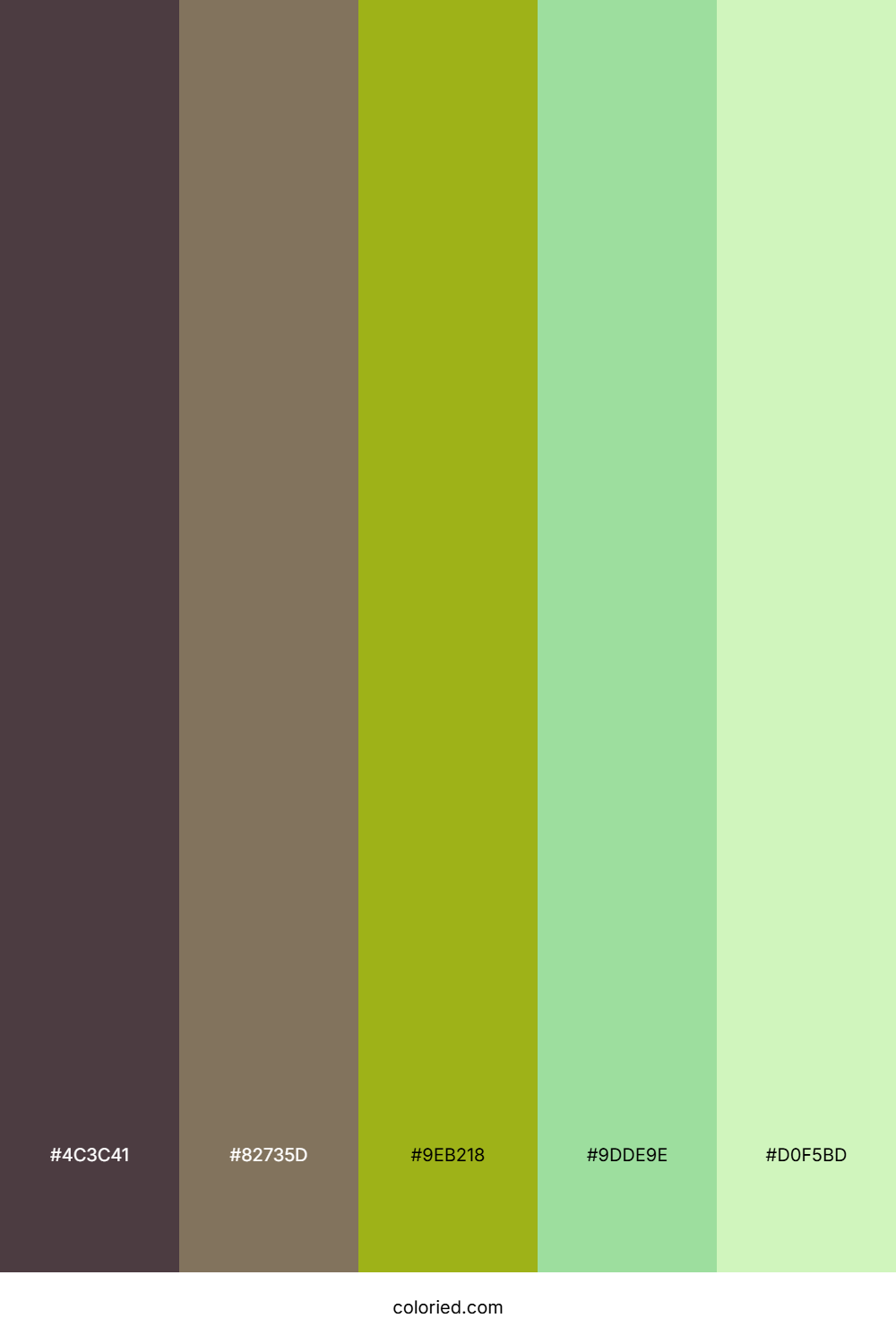 Verdant Spring Canopy Palette