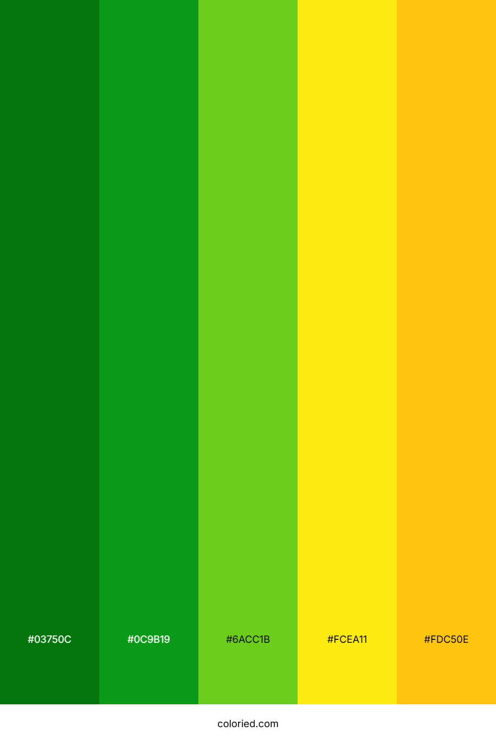 Verdant Sunrise Gold Color Palette