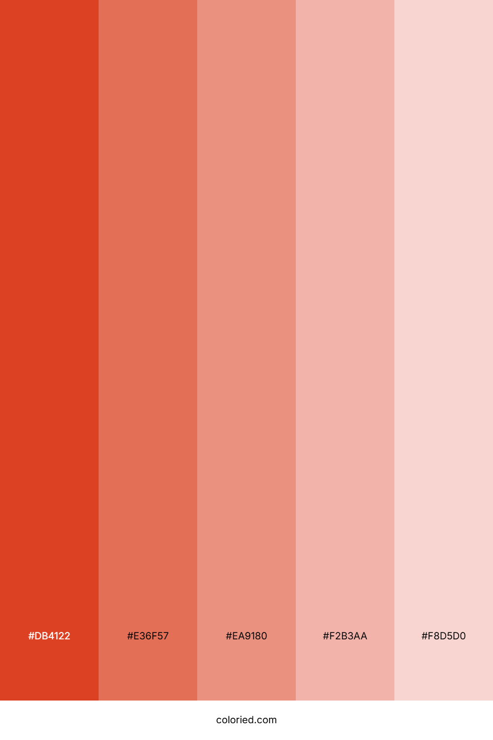 Vermillion and Coral Color Palette