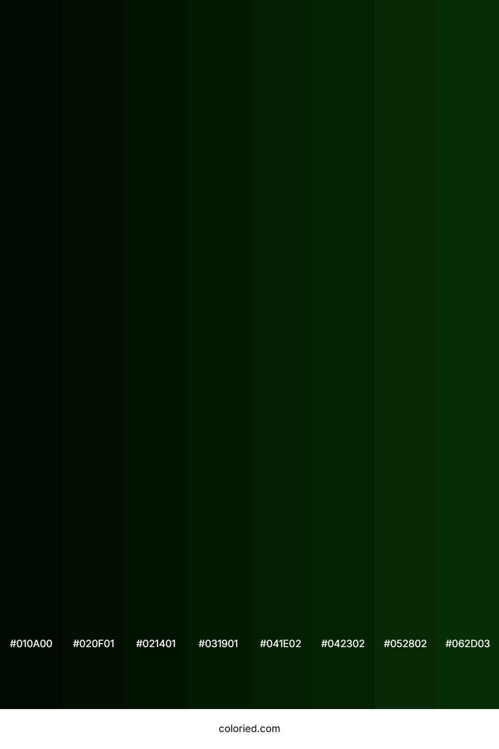 Very Dark Green Color Shades