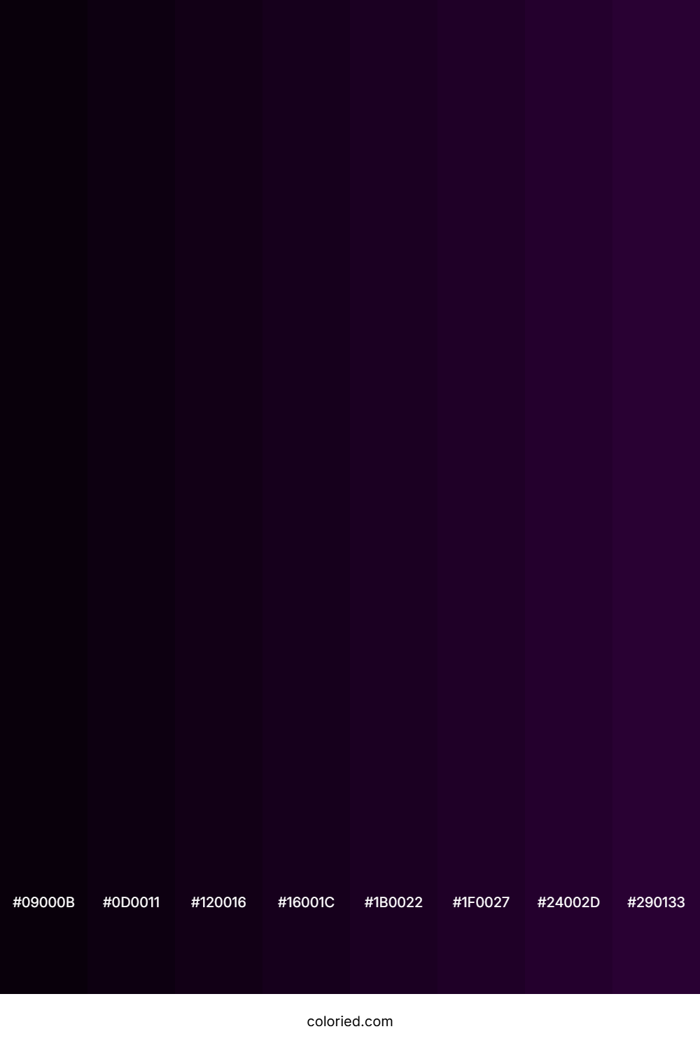 Very Dark Purple Color Shades