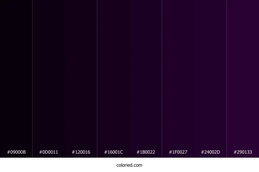 Very Dark Purple Color Shades