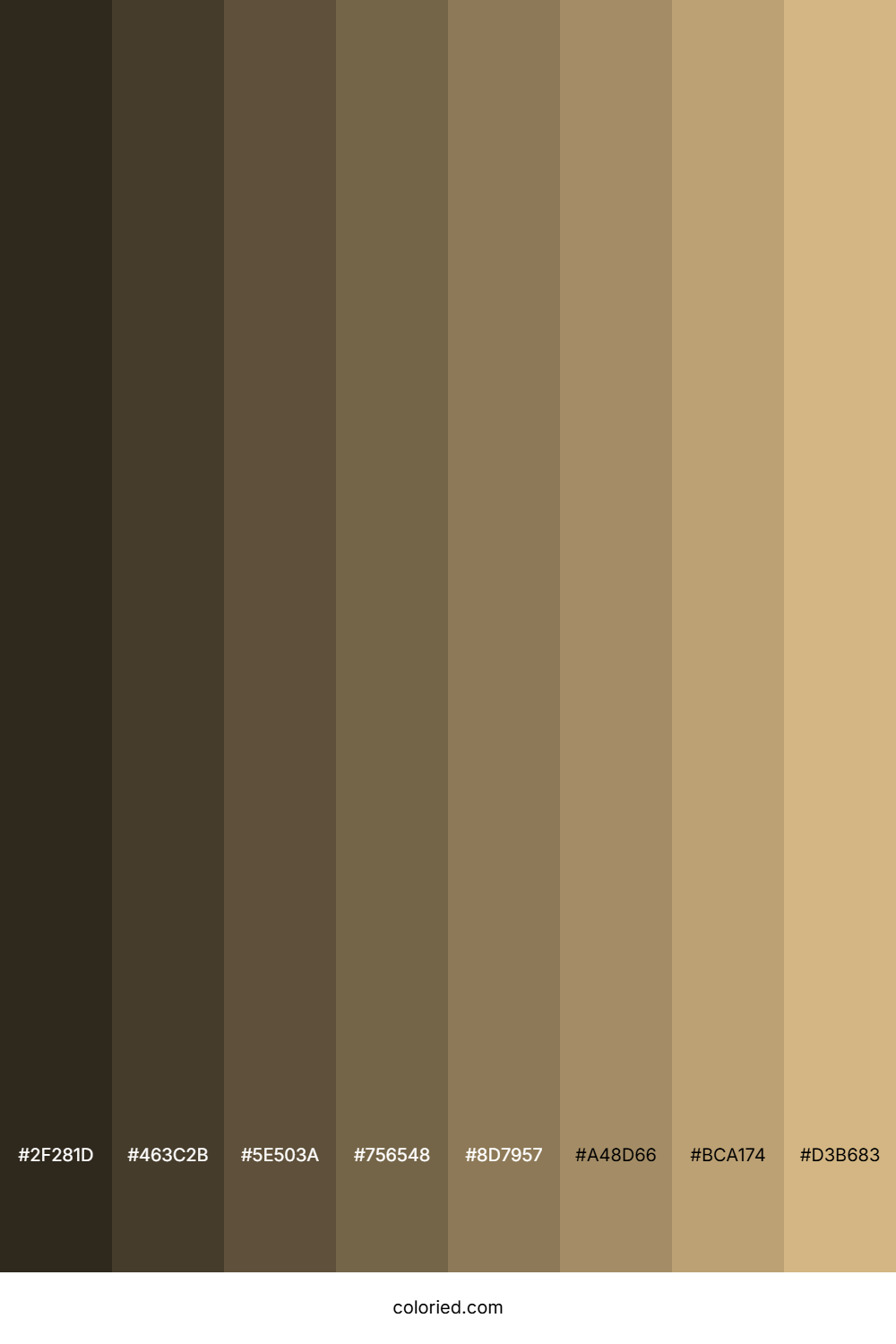 Very Light Brown Color Shades