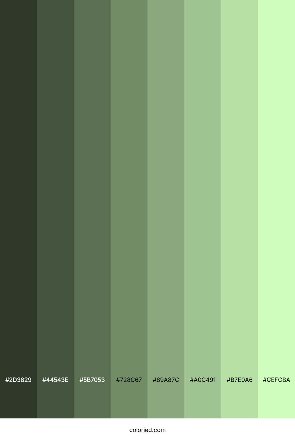 Very Pale Green Color Shades