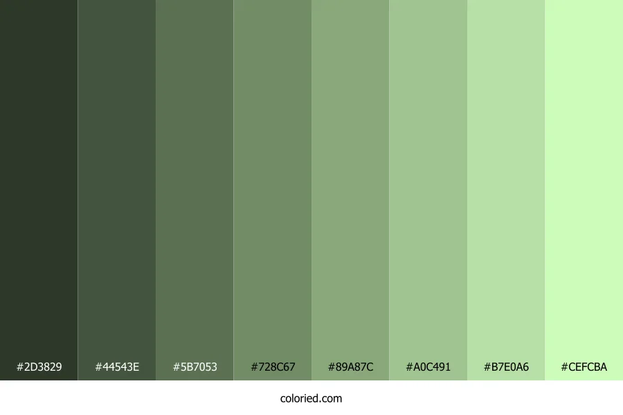 Very Pale Green Color Shades
