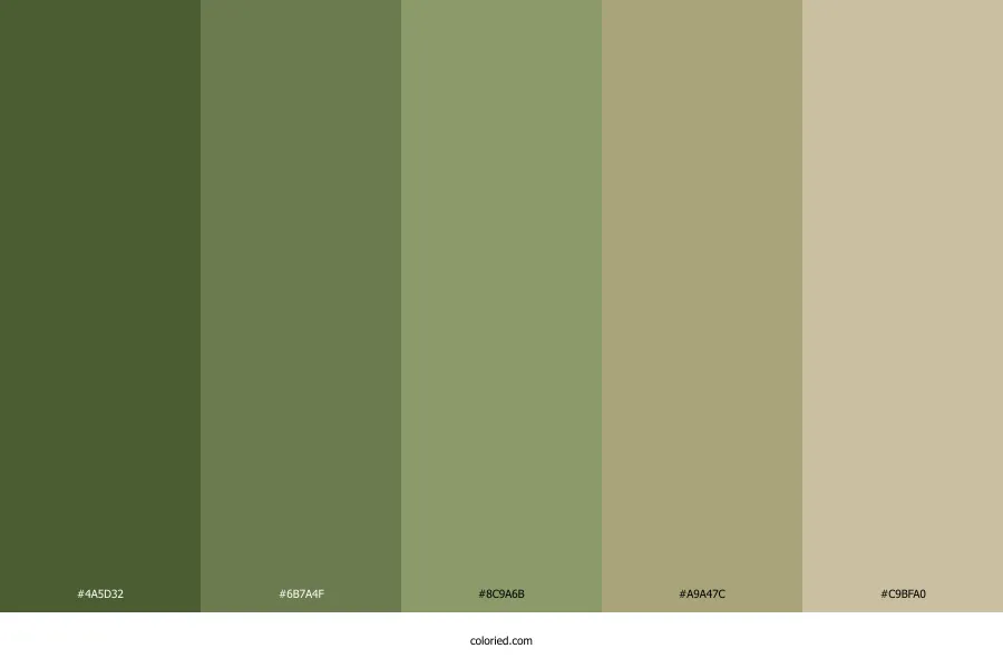 Vetiver Color Palette