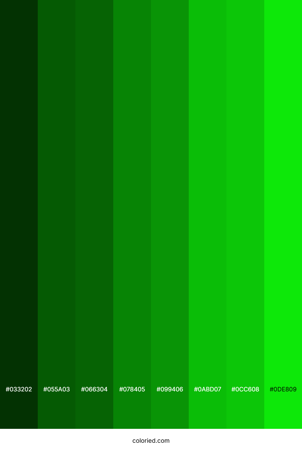 Vibrant Green Color Shades