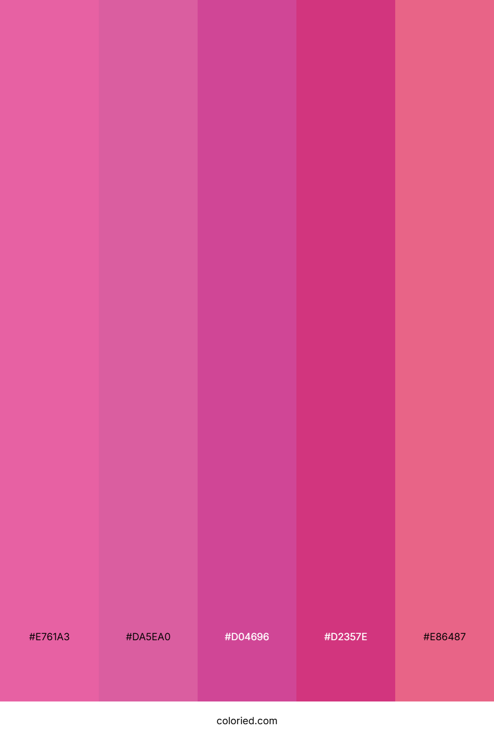Vibrant Pink And Fuchsia Color Palette