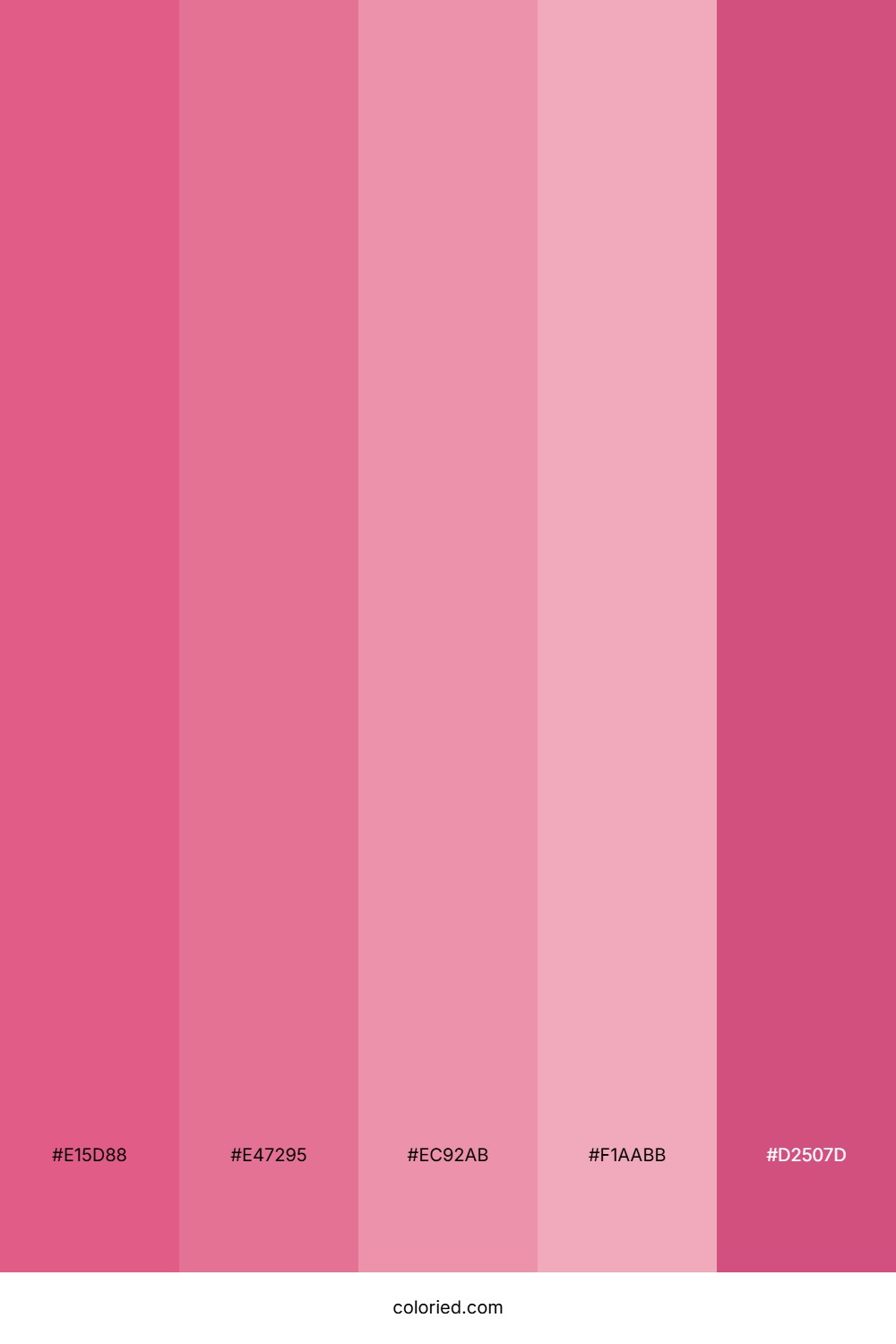 Vibrant Pink and Soft Blush Color Palette