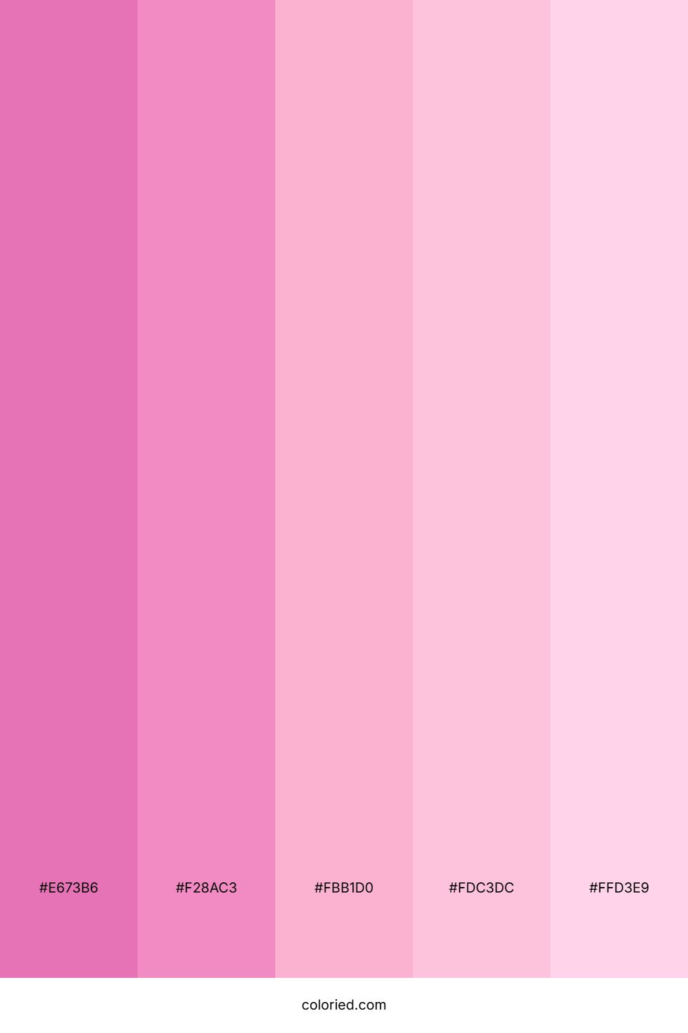 Vibrant Pink and Soft Magenta Color Palette