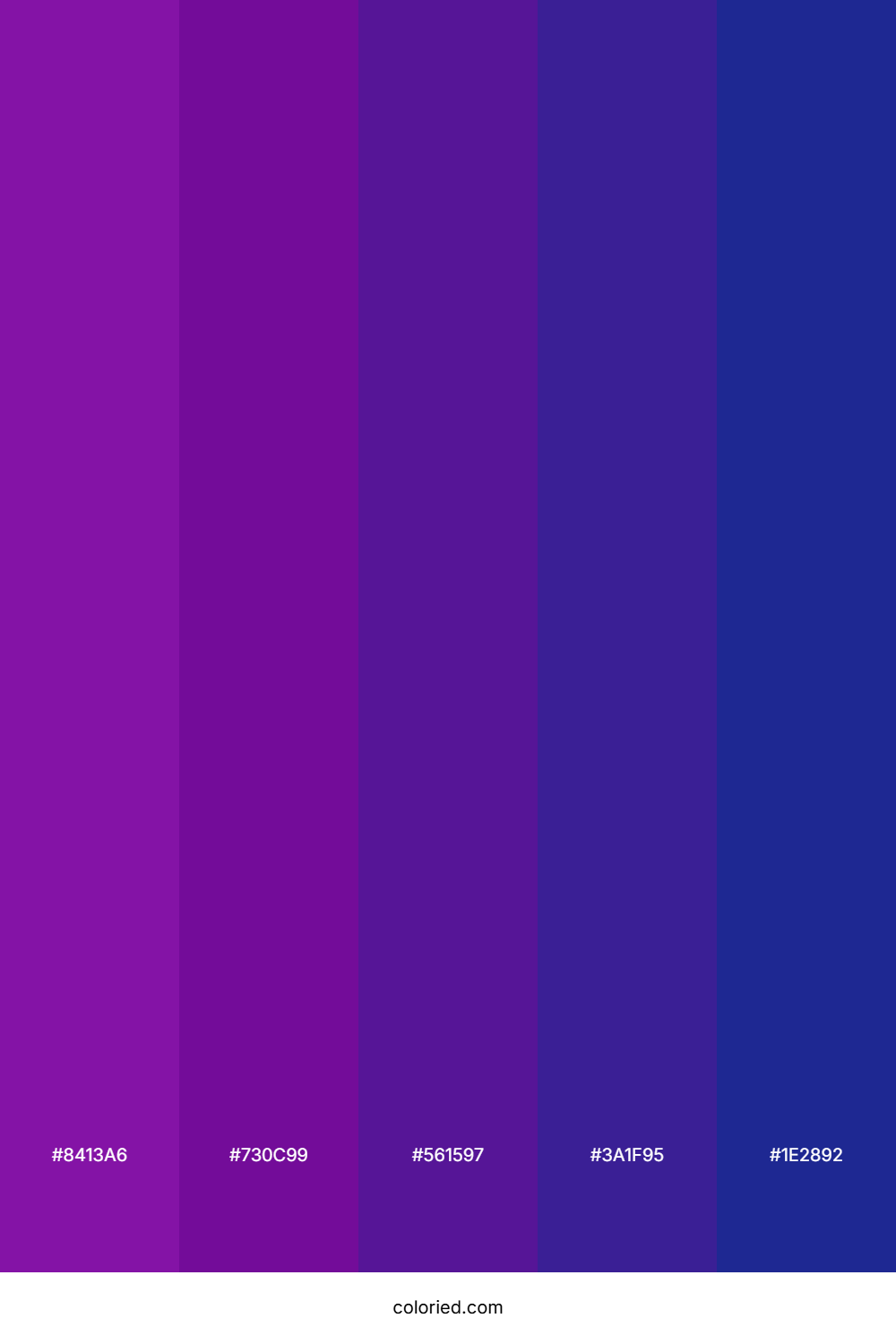 Vibrant Purple And Royal Blue Color Palette