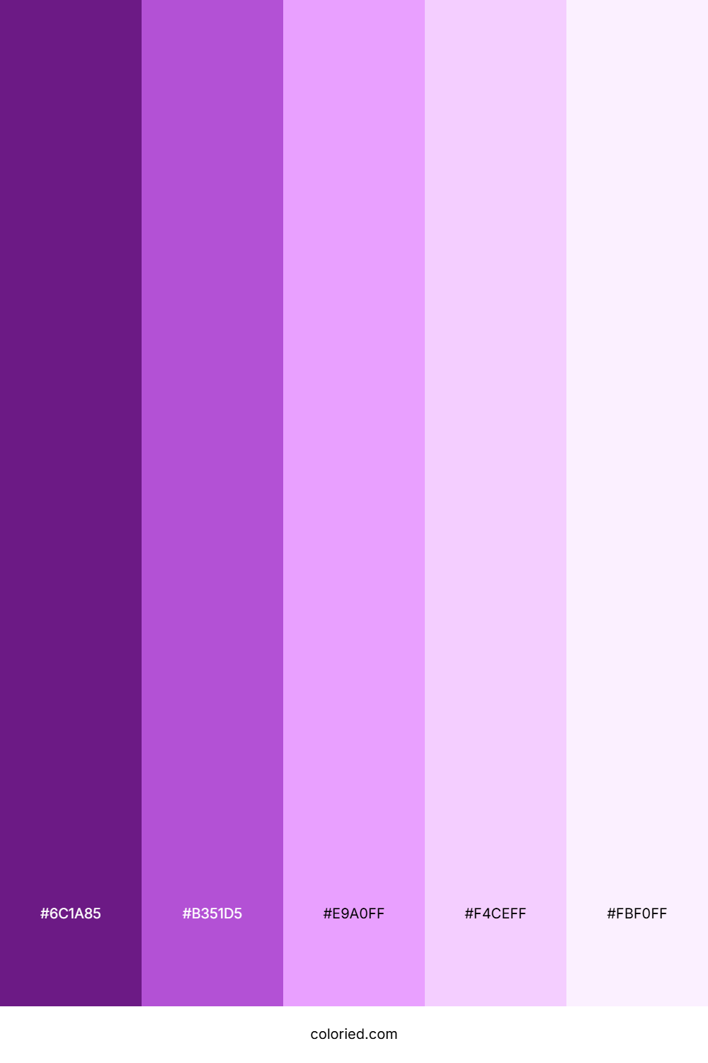 Vibrant Purple and Soft Lavender Color Palette