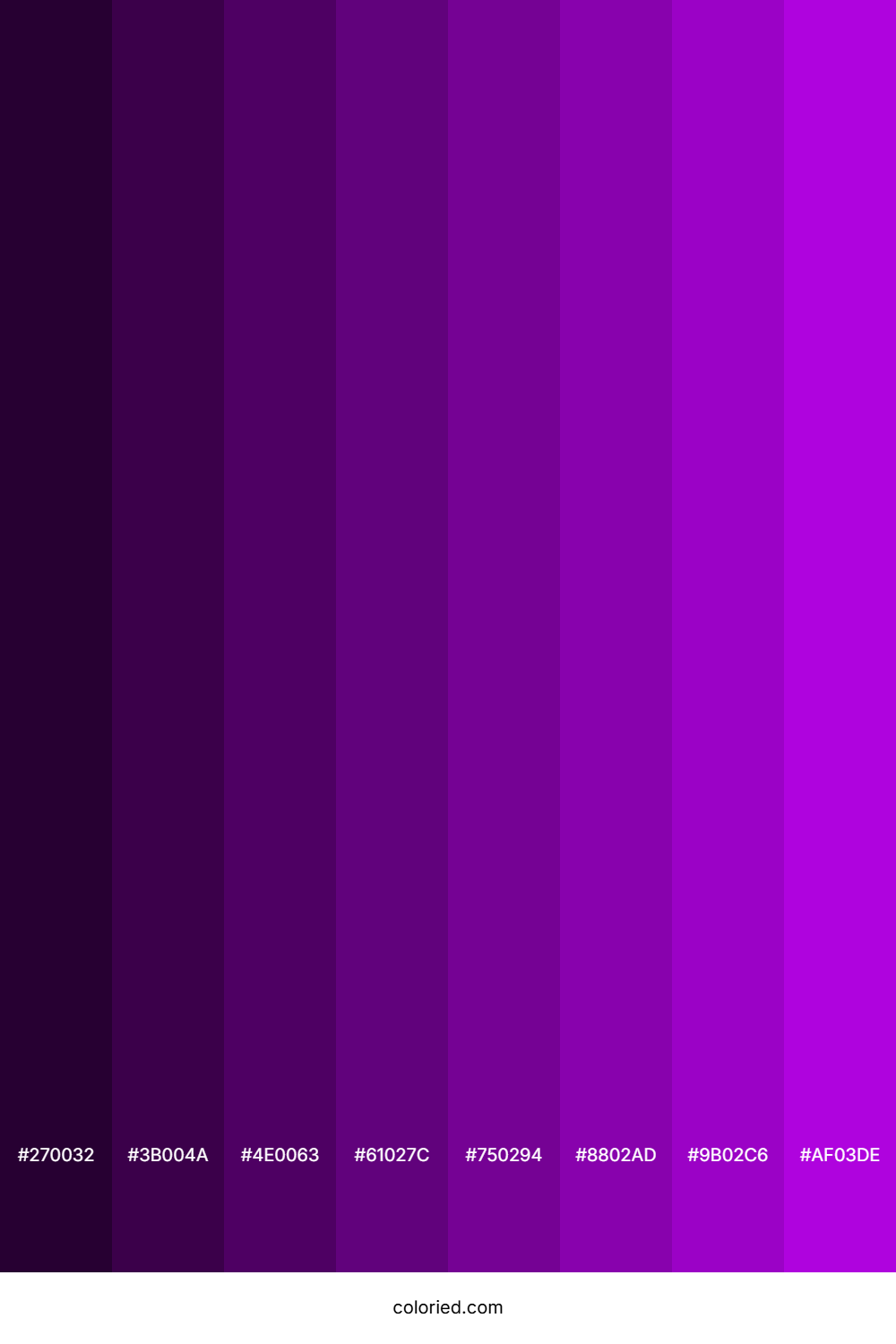 Vibrant Purple Color Shades