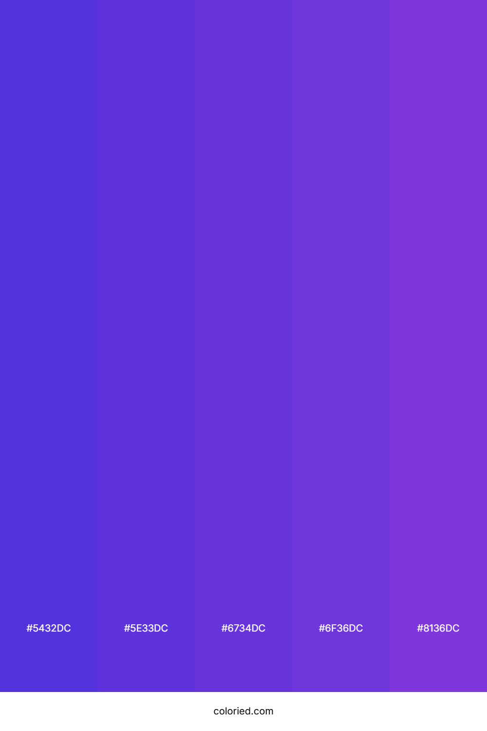 Vibrant Purple Flow Color Palette
