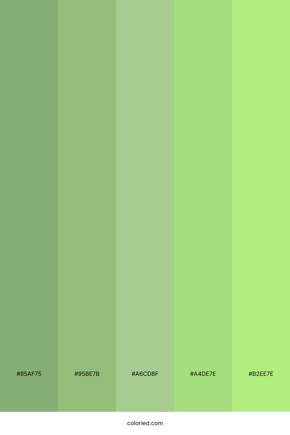 Vibrant Sage Canopy Palette