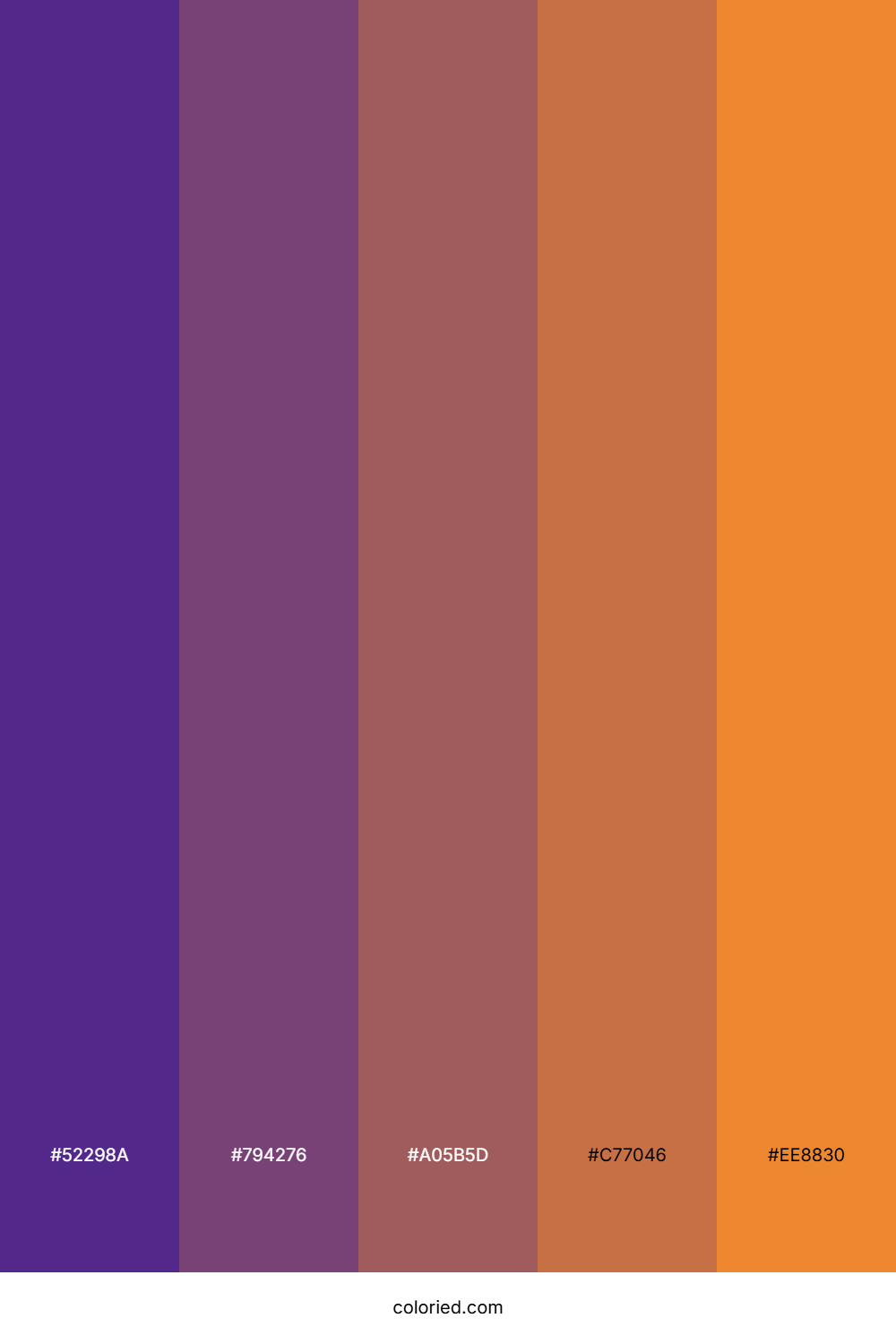 Vibrant Sunset Hues Color Palette