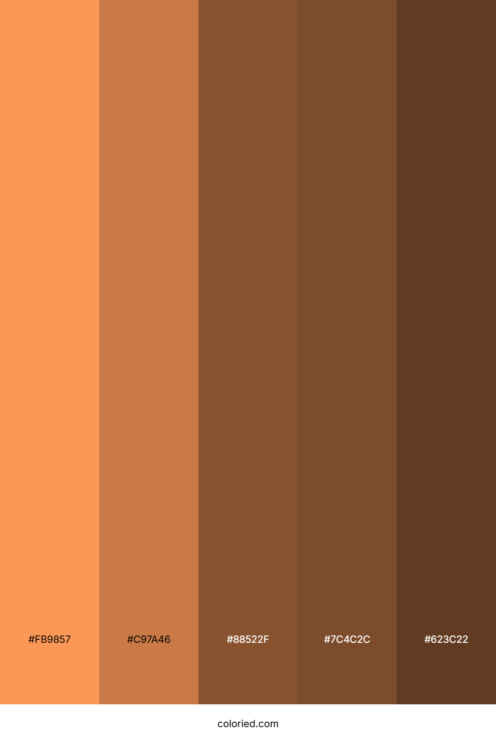 Vibrant Tangerine and Earth Brown Color Palette
