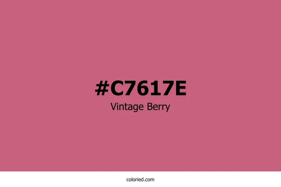 Vintage Berry Color
