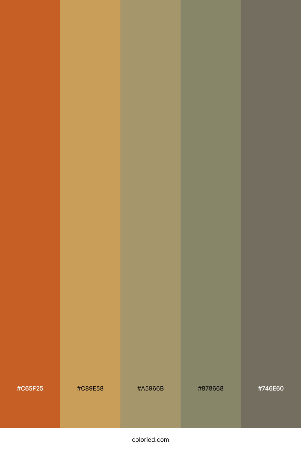 Vintage Cocoa Hues Color Palette