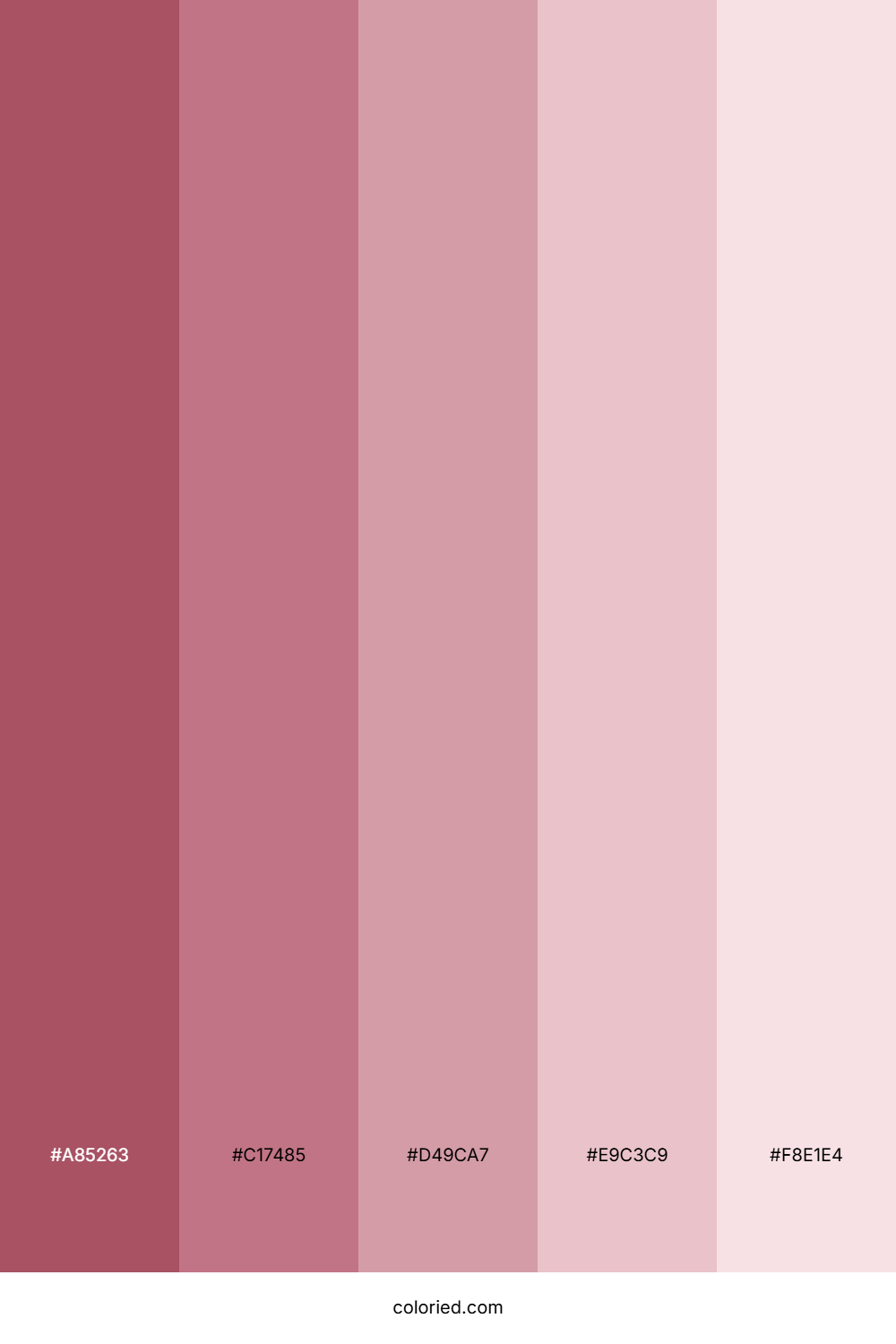 Vintage Pink Shades Color Palette