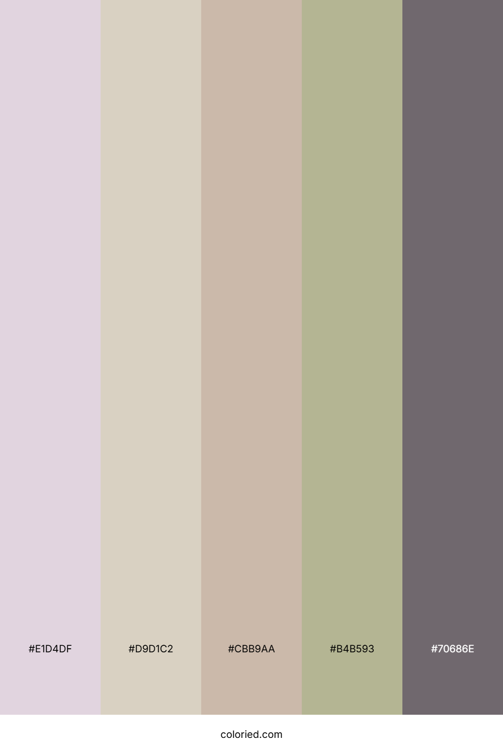 Vintage Sage Clay Color Palette