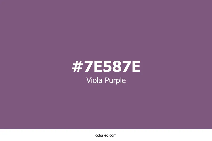 Viola Purple Color