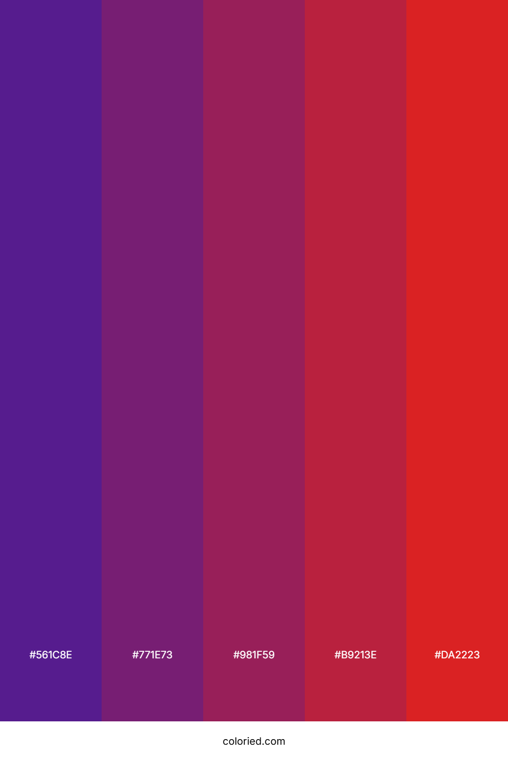 Violet and Crimson Color Palette