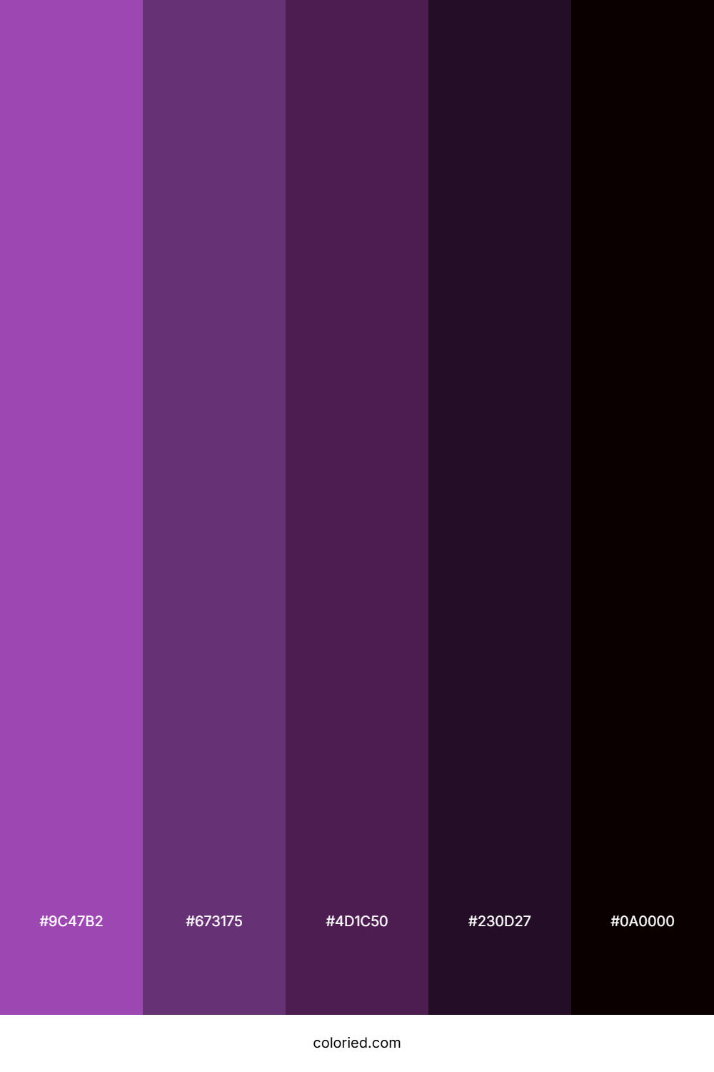 Violet and Deep Purple Color Palette