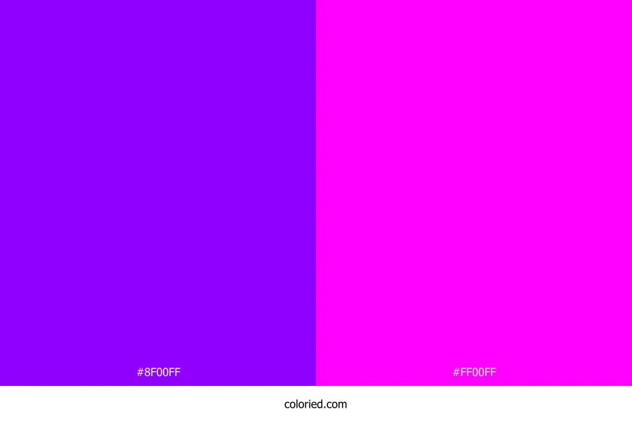 Violet and Magenta Pink Dress Combination