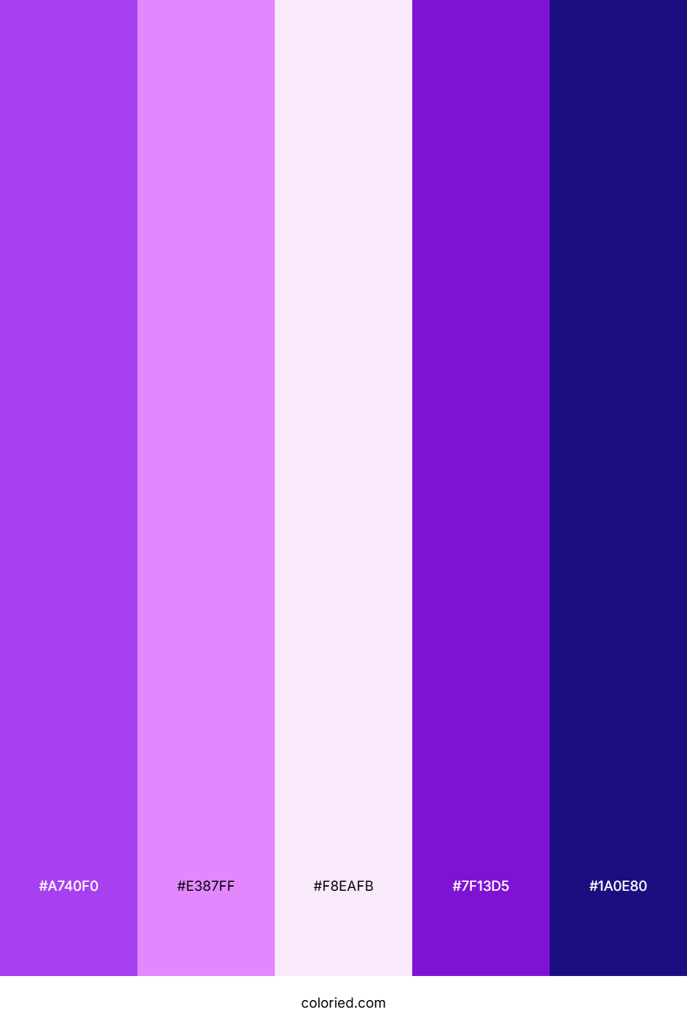Violet And Orchid Color Palette