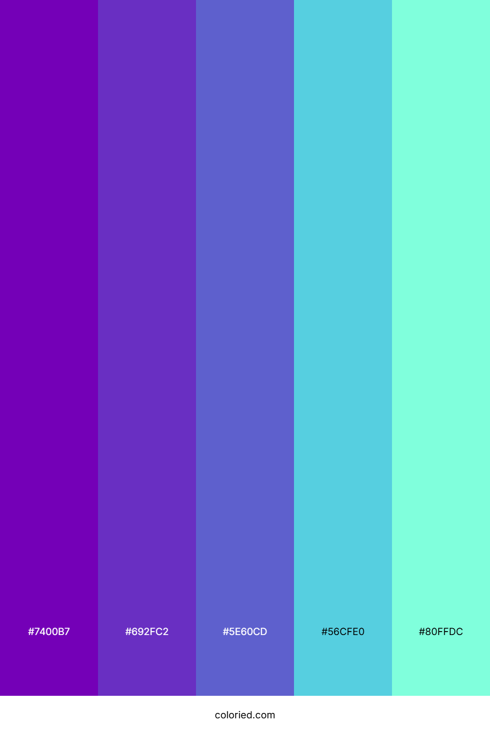 Violet Aqua Shine Color Palette