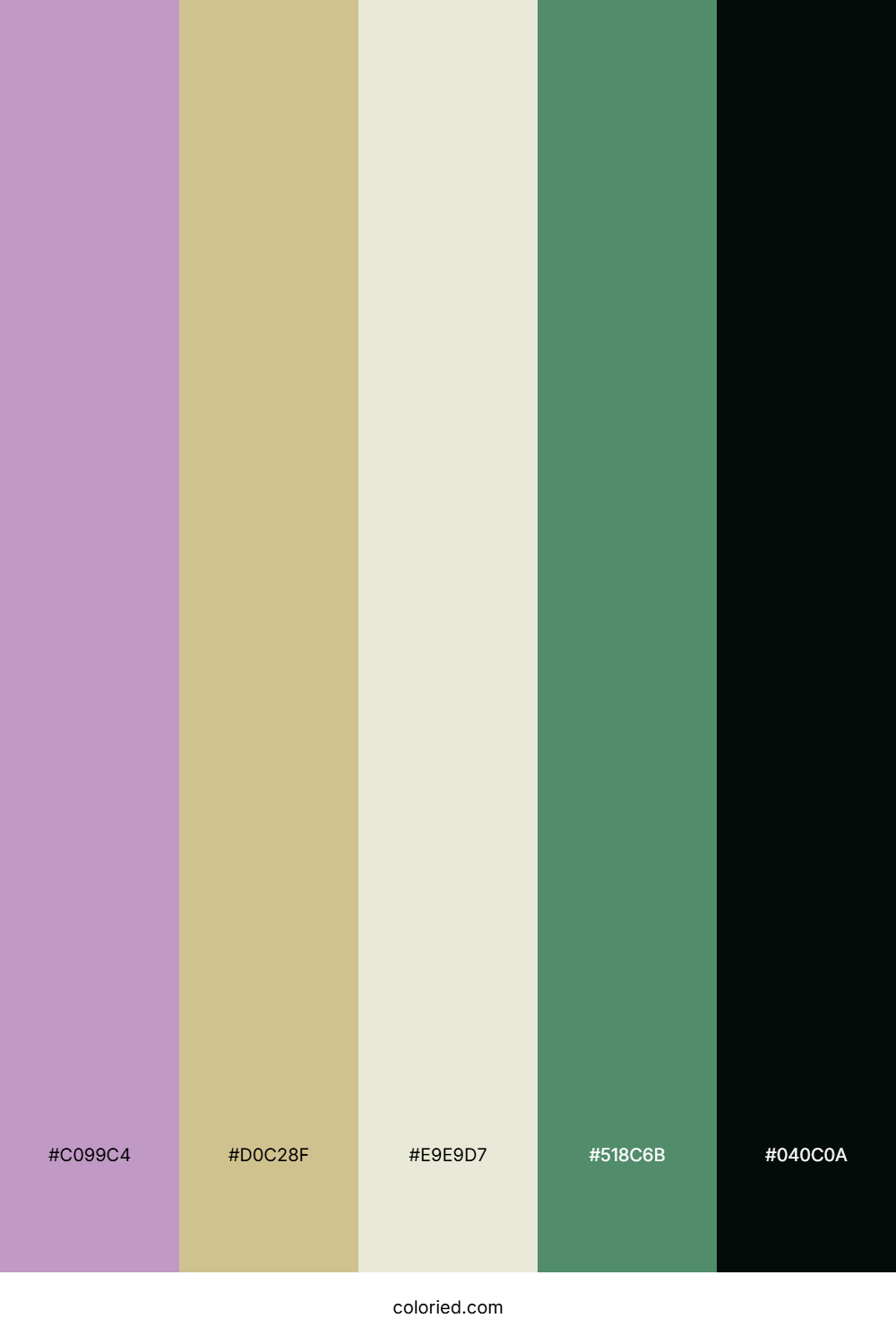 Violet Fern Horizon Palette