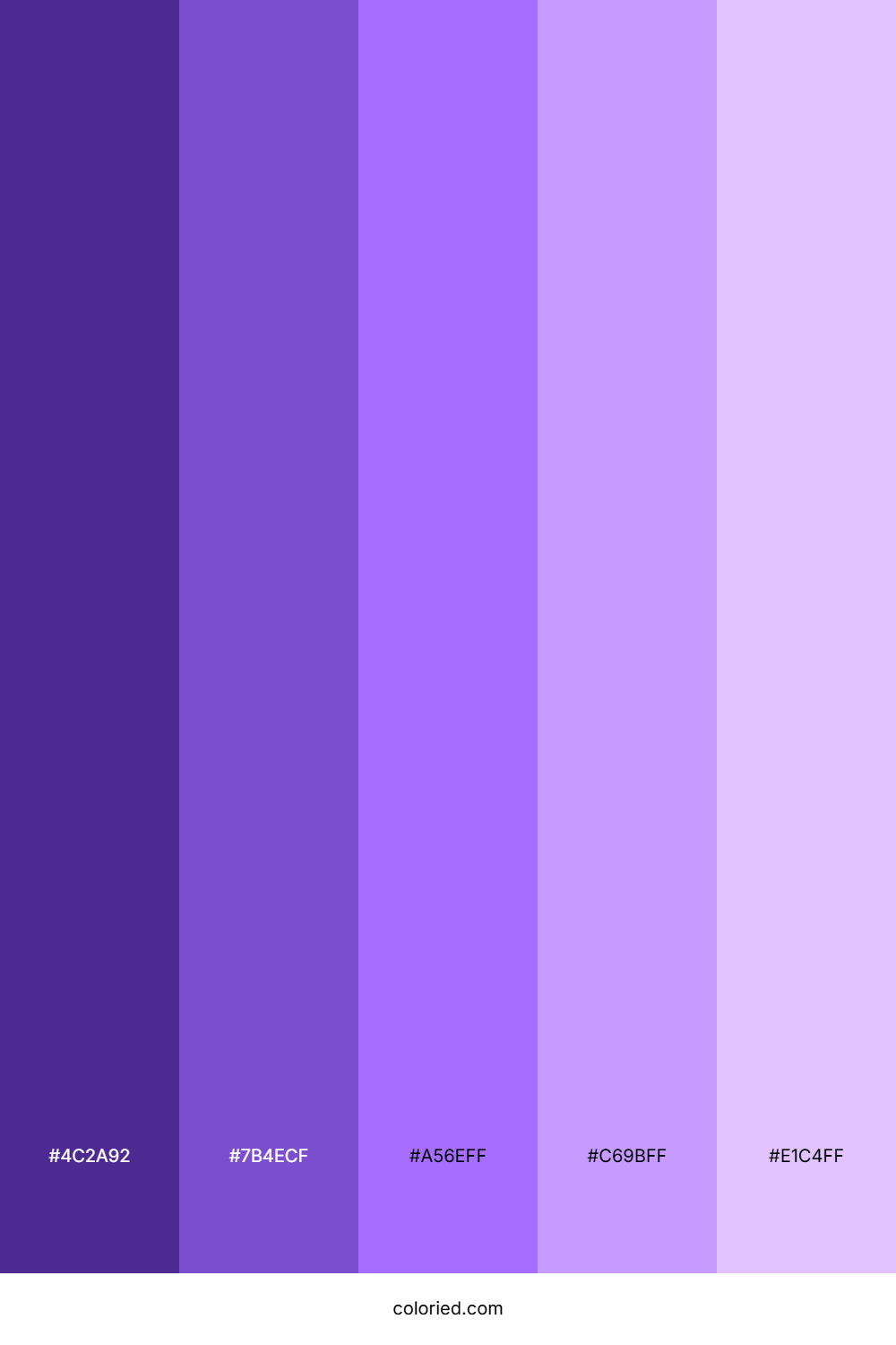 Violet Gradient Color Palette