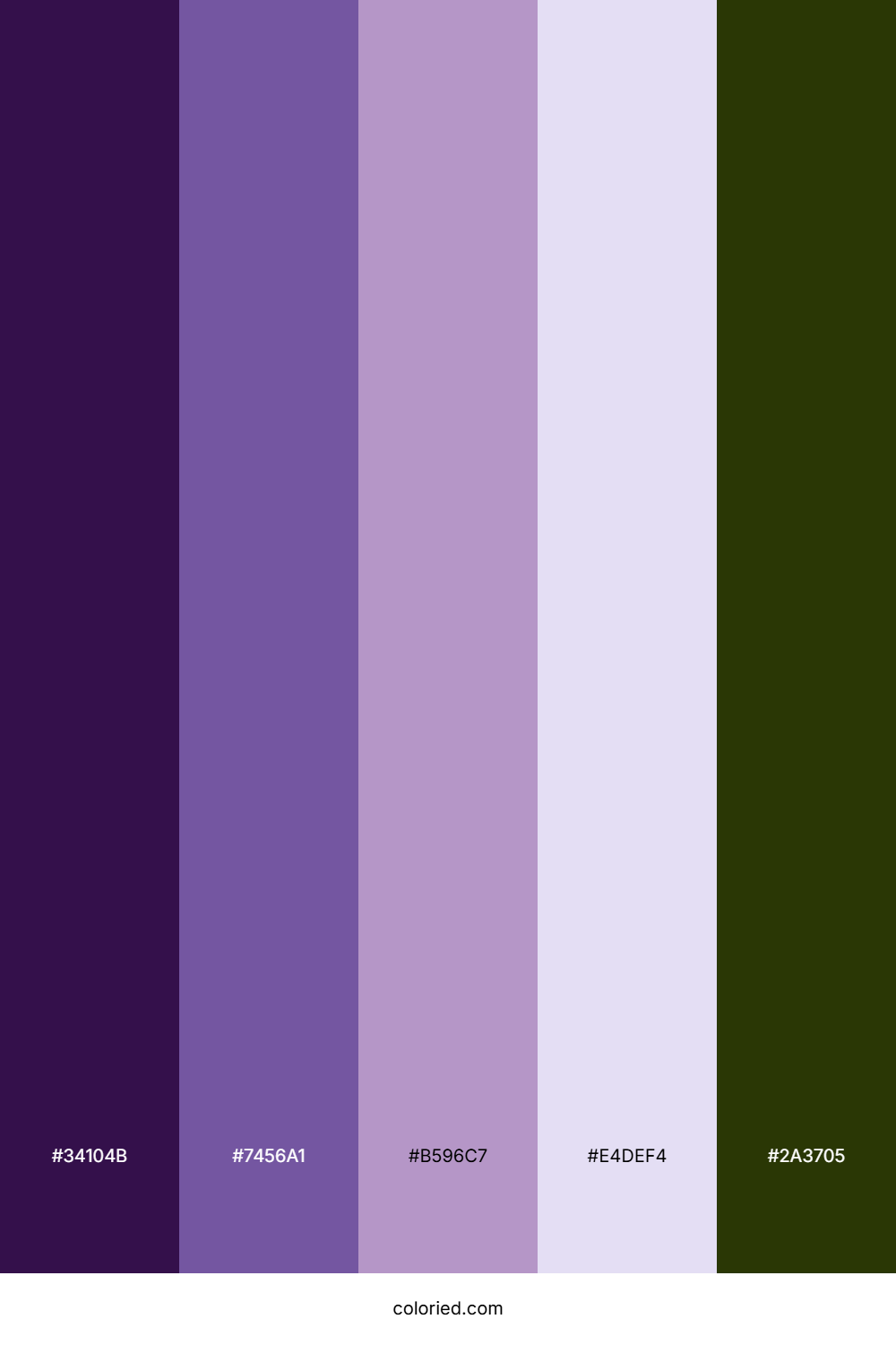 Violet Haze Meadow Color Palette