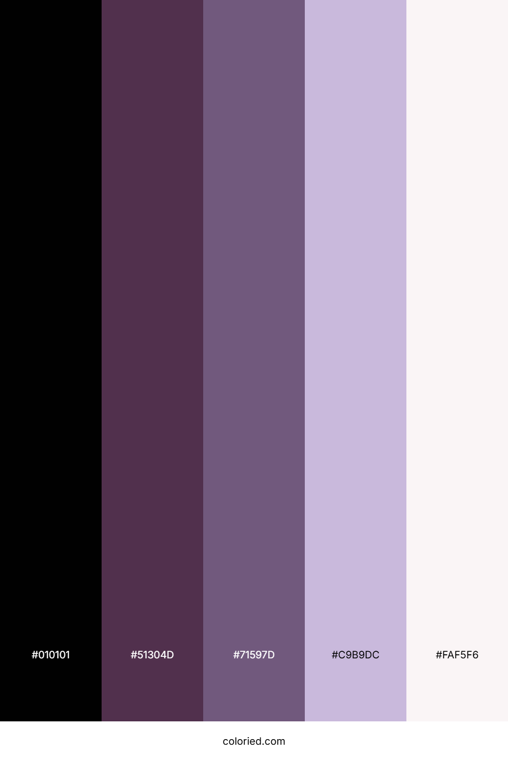 Violet Midnight Mist Color Palette