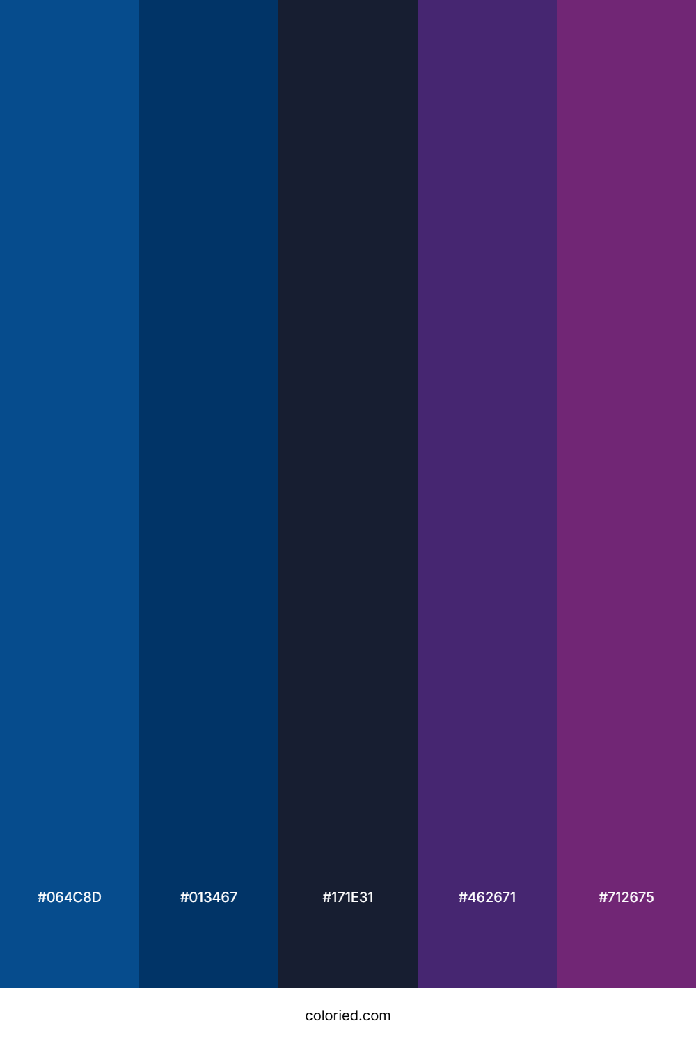 Violet Nightfall Storm Color Palette