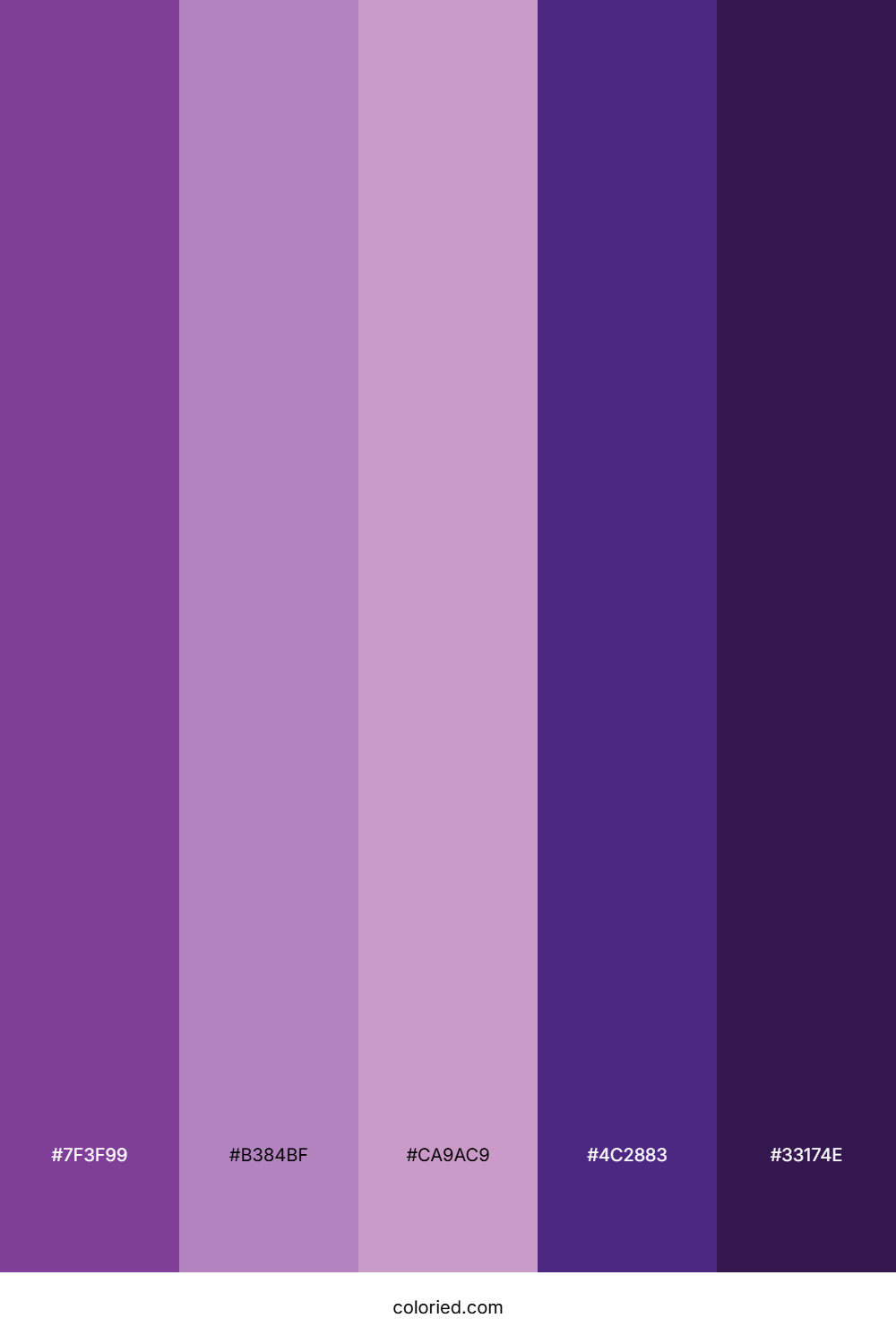 Violet Orchid Twilight Color Palette