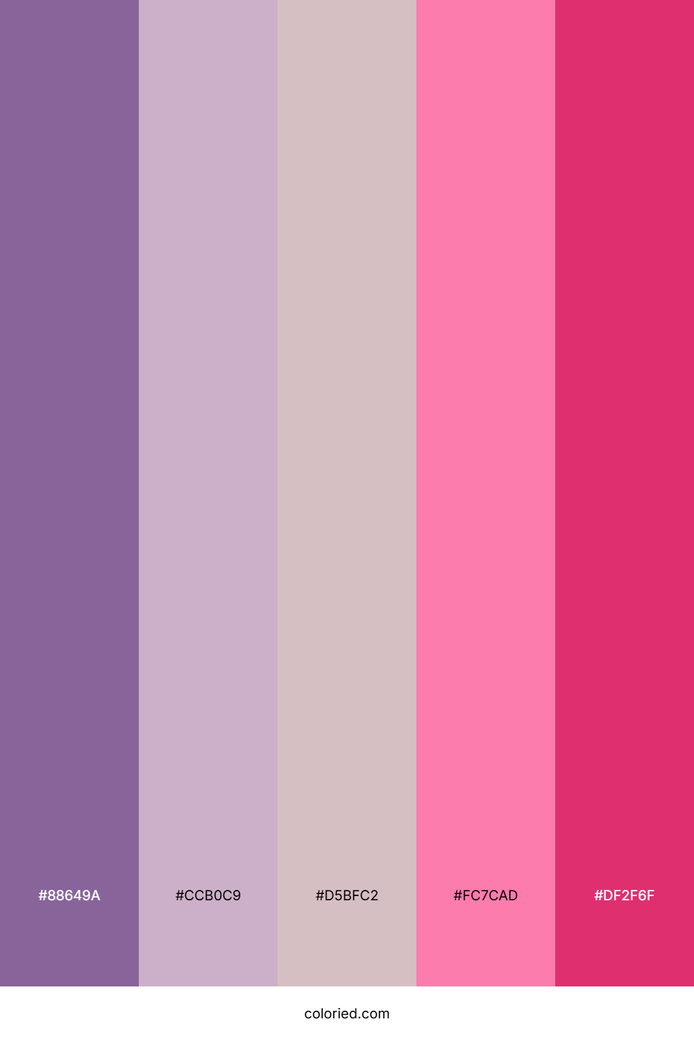 Violet Pink Berry Color Palette
