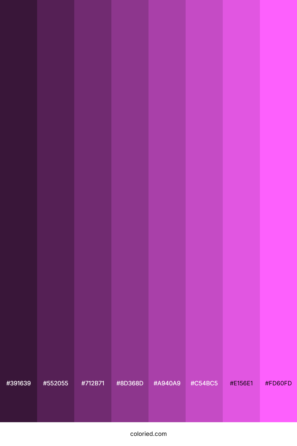 Violet Pink Color Shades