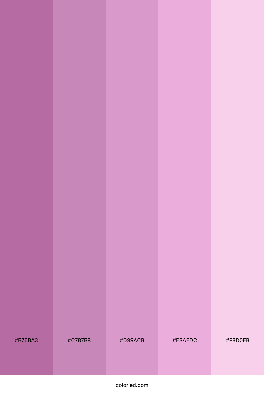 Violet Pink Gradient Color Palette