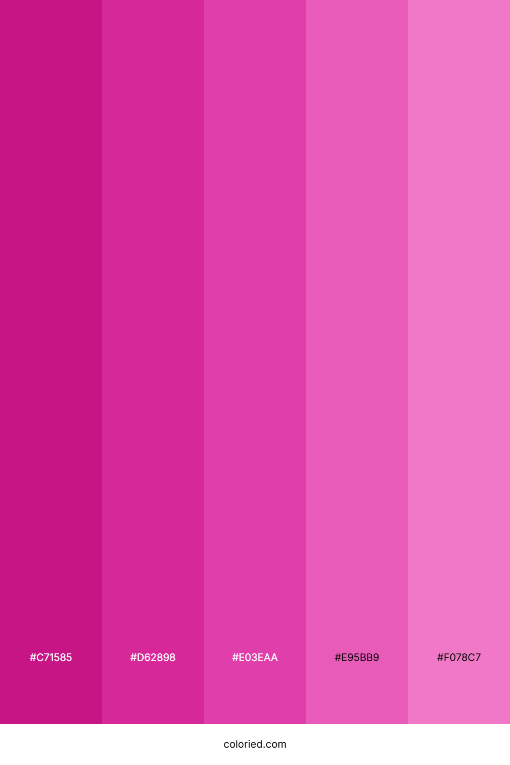 Violet Red Gradient Color Palette