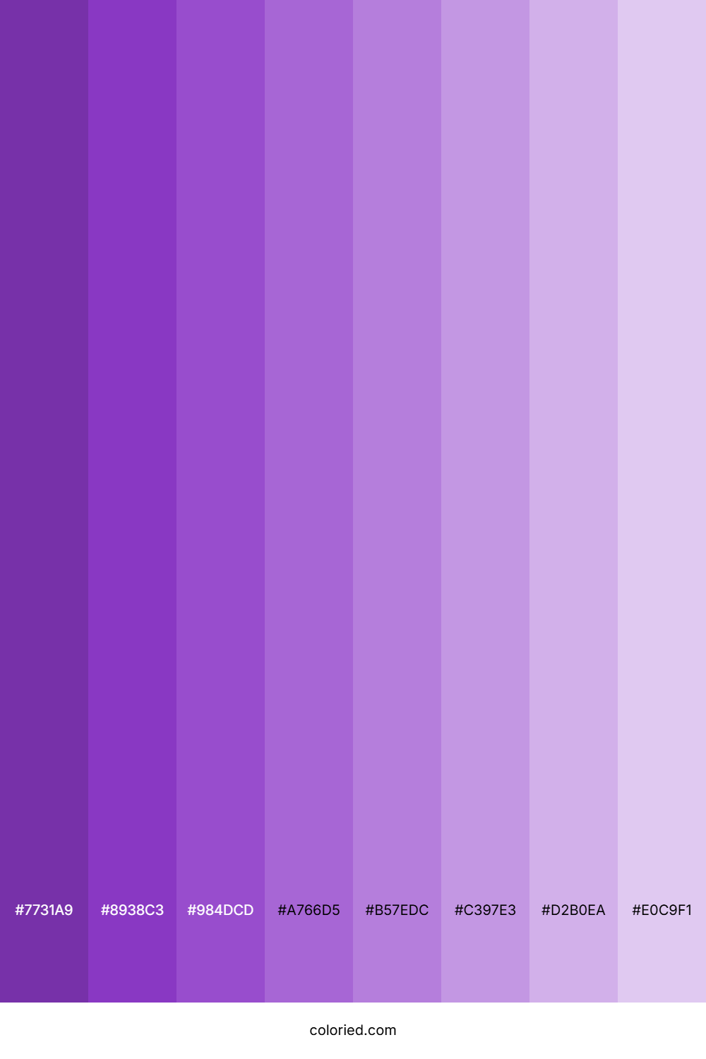 Violet Shades