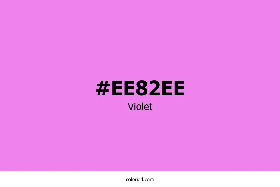 Violet Color Hex Code