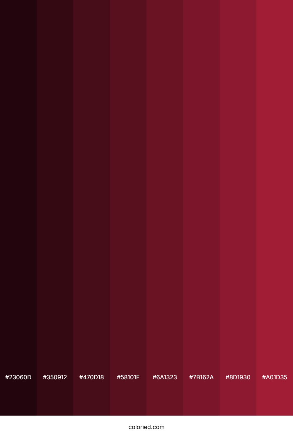 Vivid Burgundy Color Shades