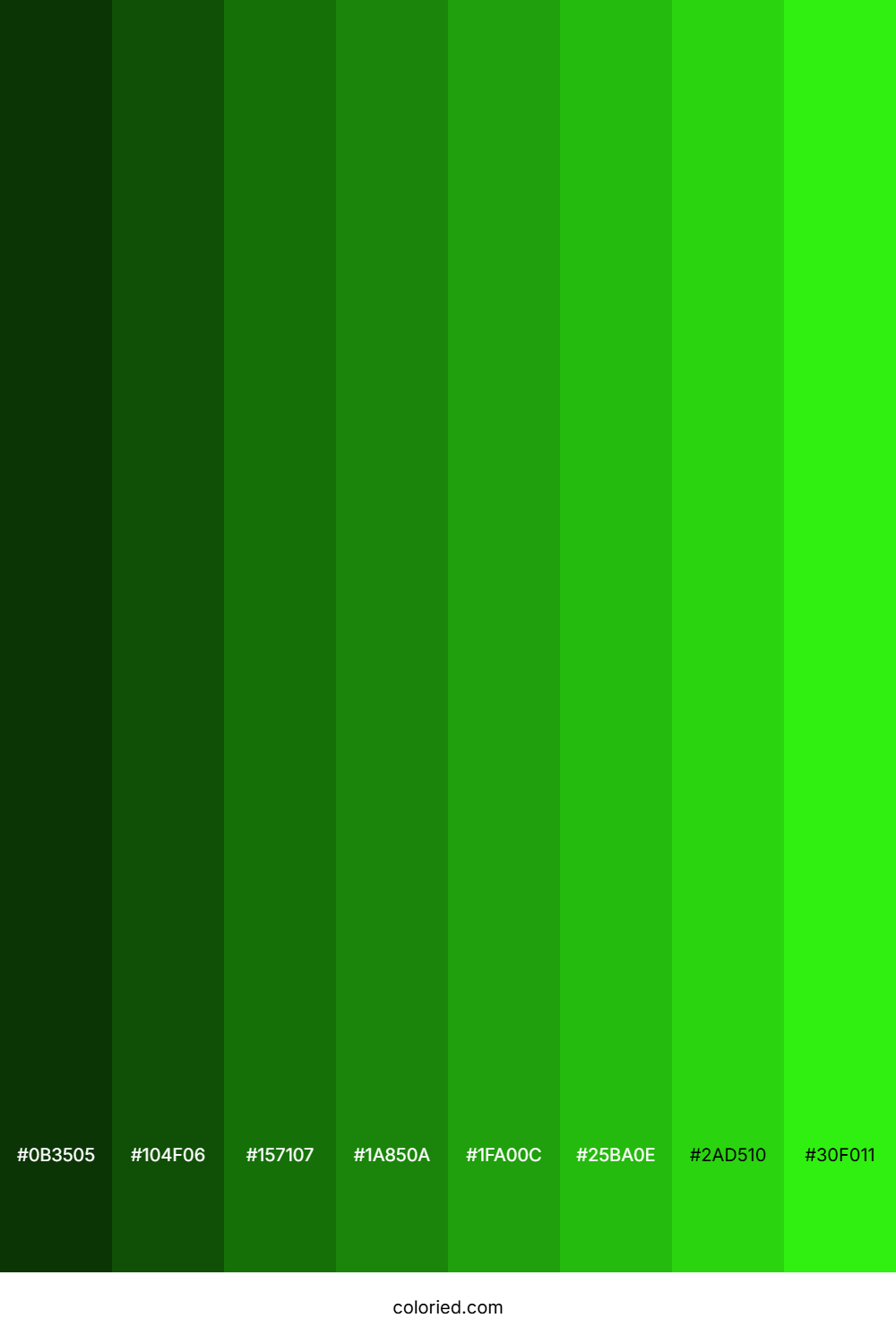 Vivid Green Color Shades