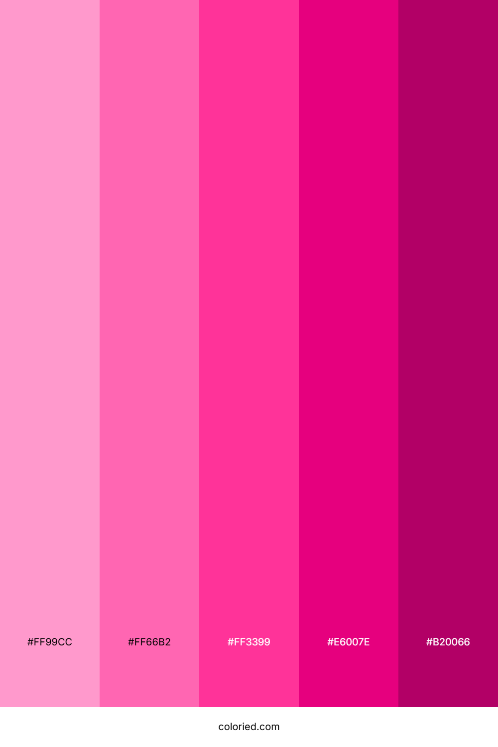 Vivid Magenta Gradient Color Palette