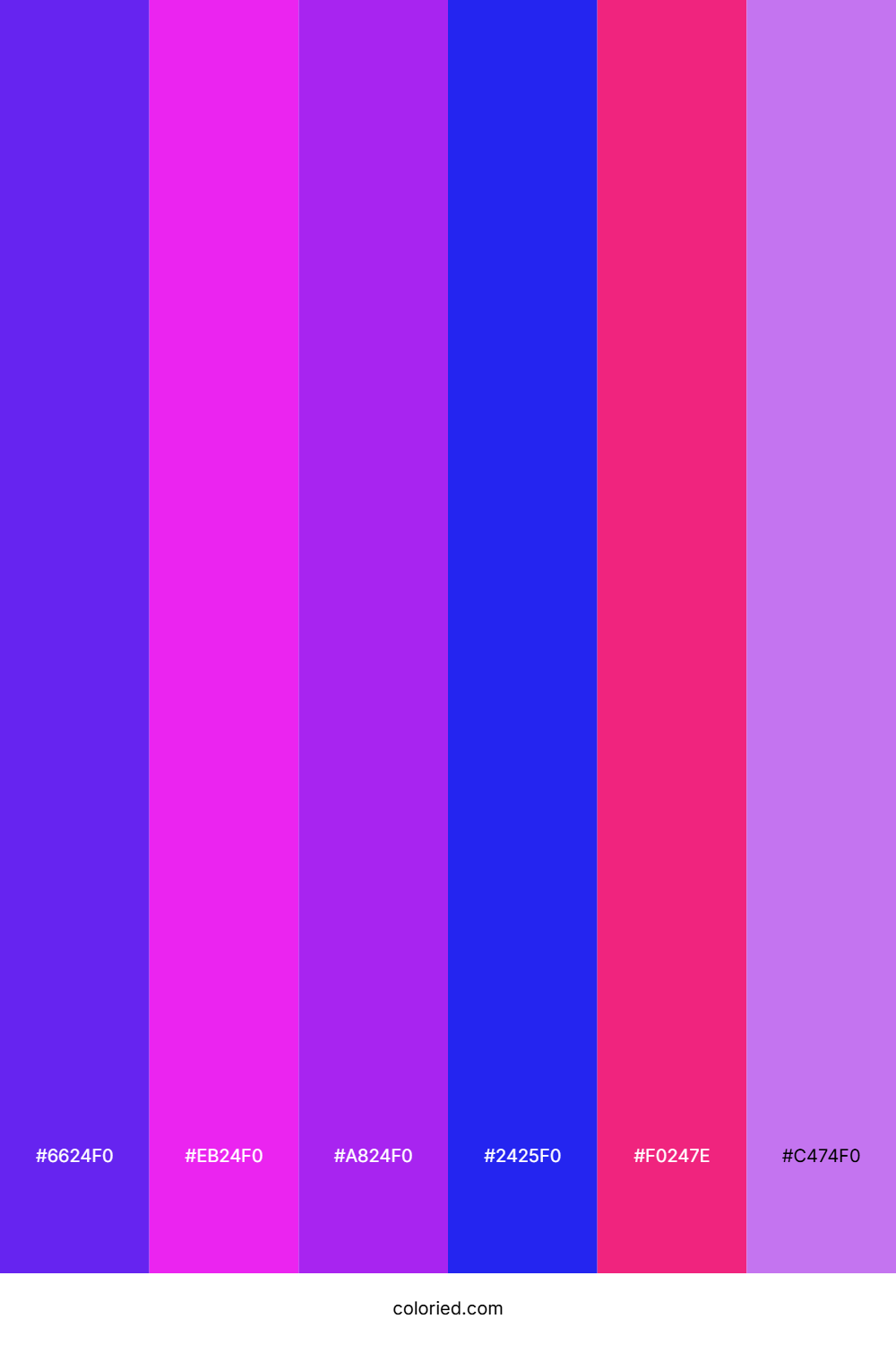 Vivid Orchid Bloom Color Palette