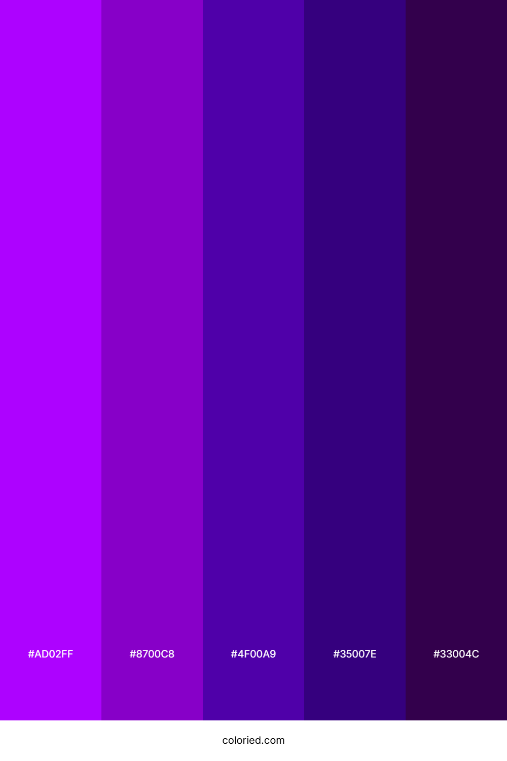 Vivid Purple and Dark Violet Color Palette