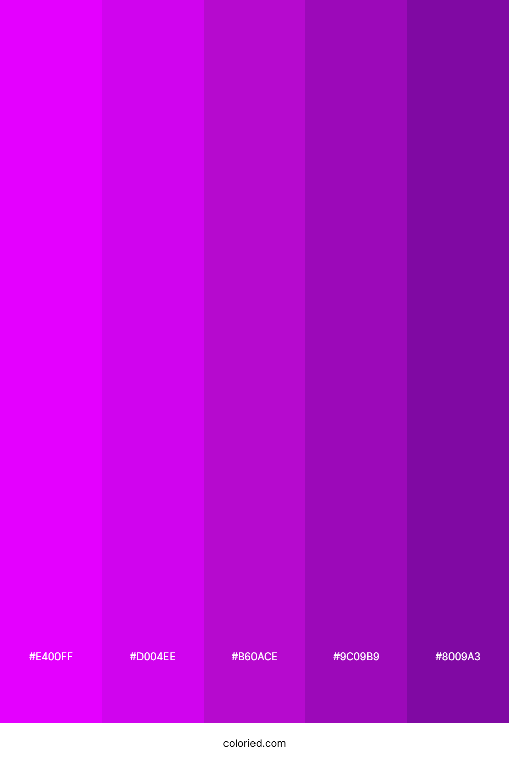 Vivid Purple and Deep Violet Color Palette