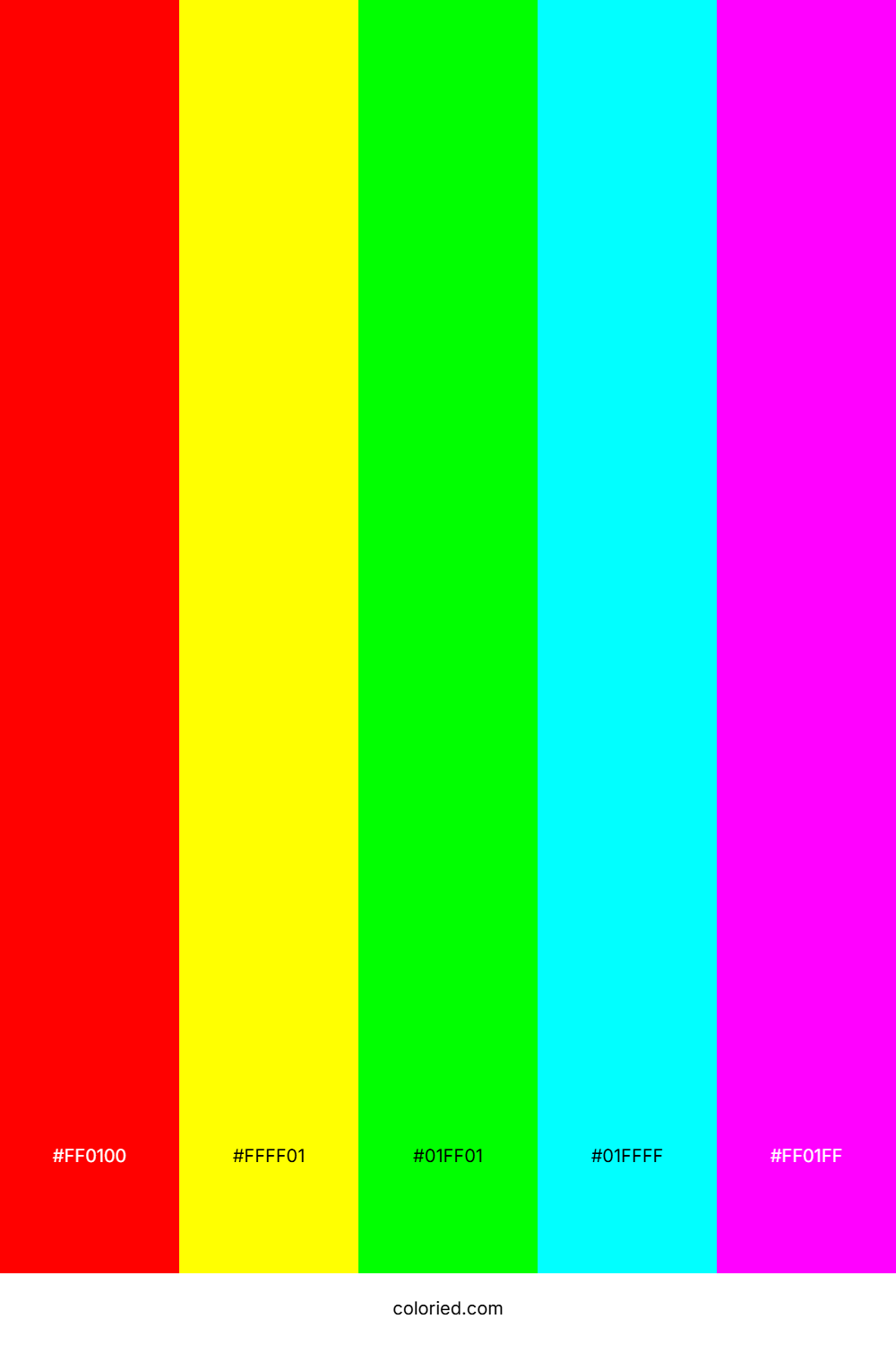 Vivid Rainbow Prism Color Palette